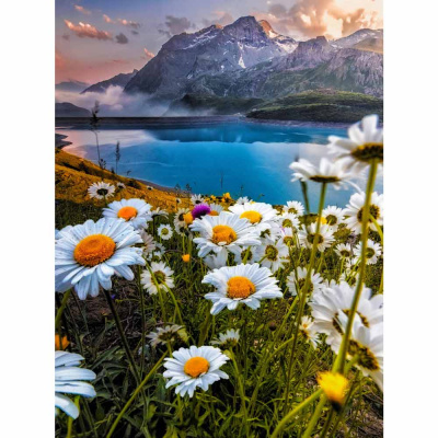 Алмазная мозаика Ромашки в горах 30 х 40 см Рыжий кот АЛМ-0083 1